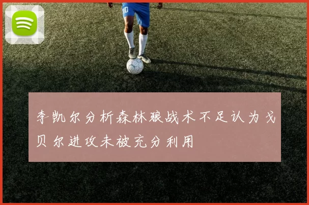 李凯尔分析森林狼战术不足认为戈贝尔进攻未被充分利用