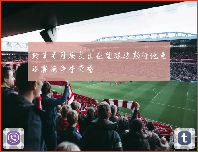 约基奇月底复出在望球迷期待他重返赛场争夺荣誉