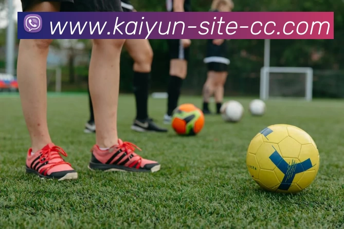 开云体育发展历程